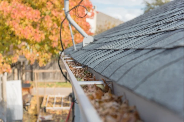 Gutters filled with autumn leaves on an asphalt shingle roof, illustrating the importance of fall roof maintenance before winter.