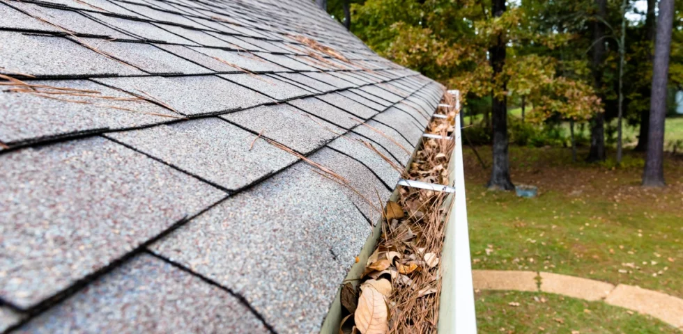 Gutters filled with pine needles and leaves on an asphalt shingle roof before winter cleaning.