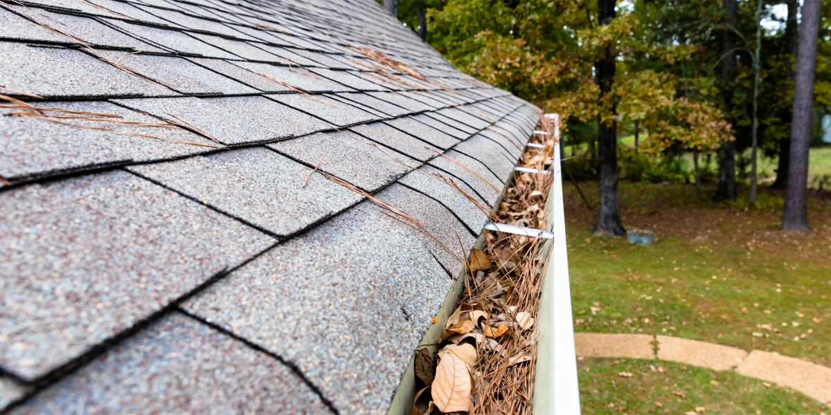 Gutters filled with pine needles and leaves on an asphalt shingle roof before winter cleaning.