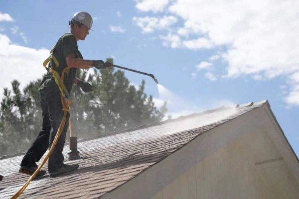 Roofing technician applying Roof Maxx treatment to an asphalt shingle roof on a residential home